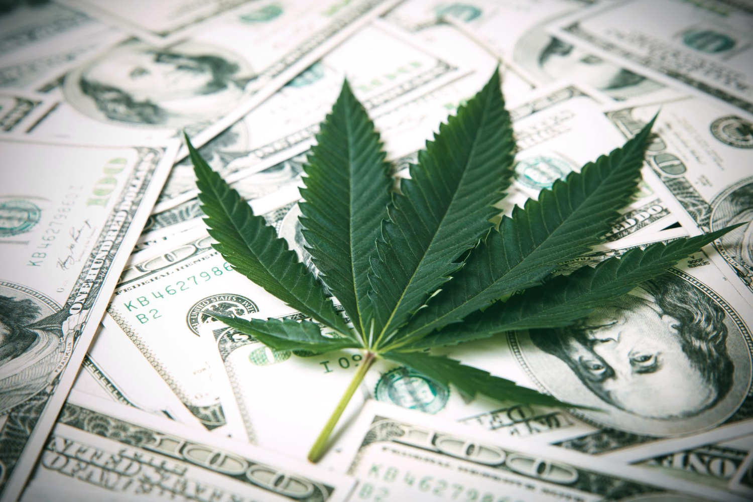 cannabis on money