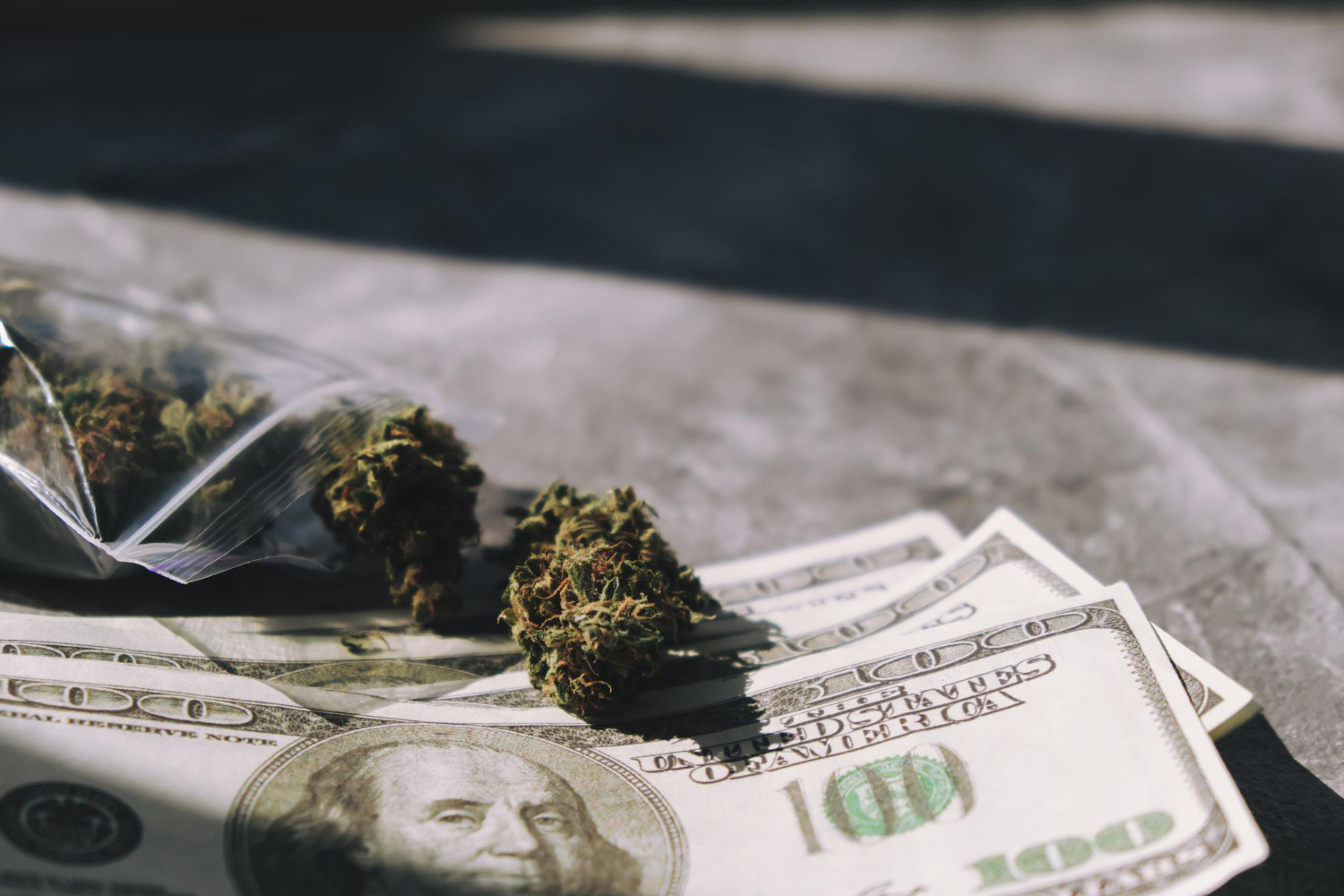 International Cannabis Trade Forecast: Growth to USD 82.3 Billion by 2027